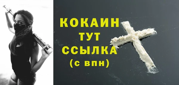 твердый Балахна