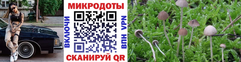 Псилоцибиновые грибы мицелий  что такое   Верхнеуральск 